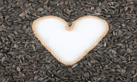 Semillas de amor