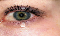 Algo se muere en el alma…